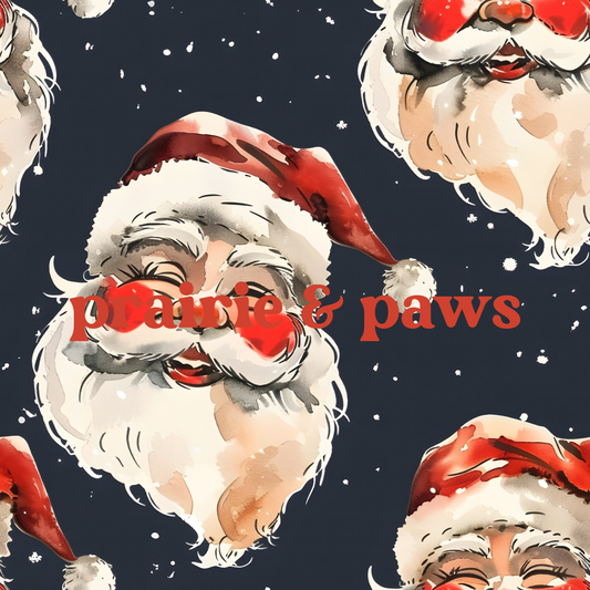 Santa Smiles DBP