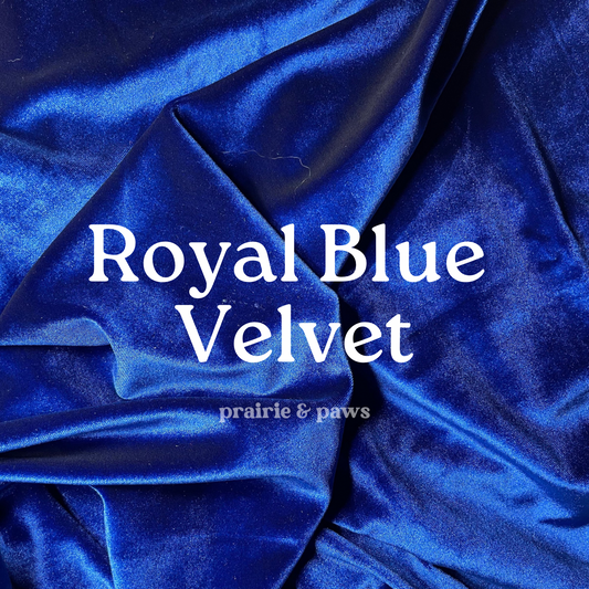 Royal Blue Velvet