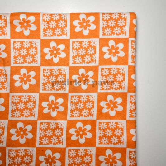 Orange Daisy Check DBP