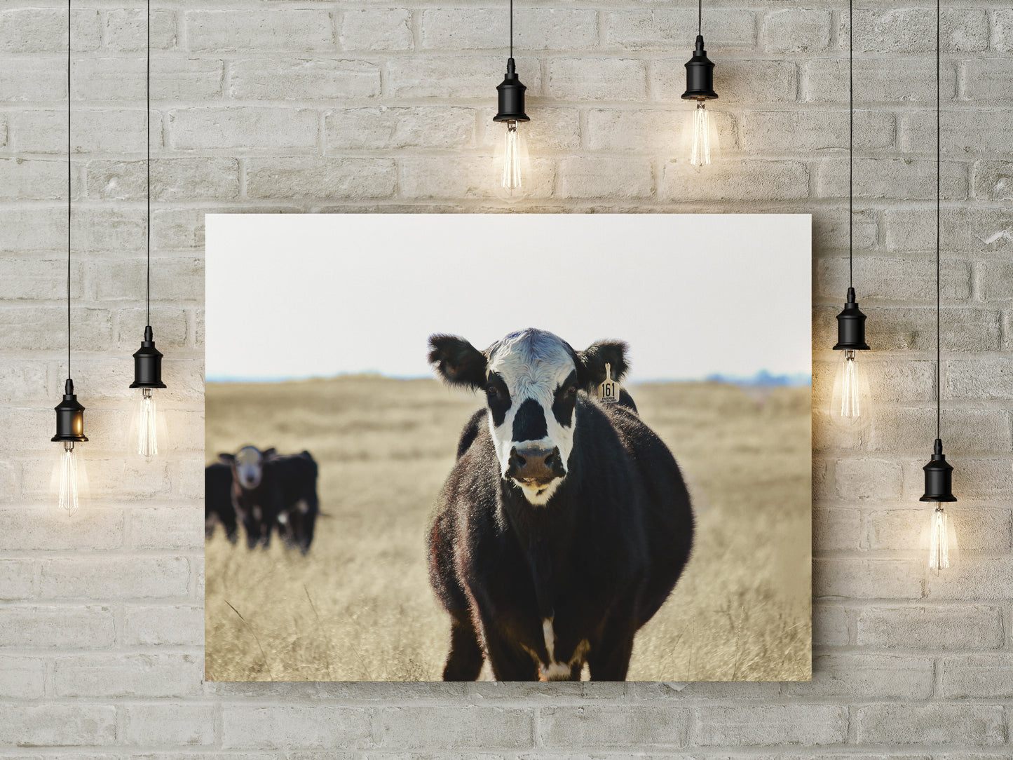 Canvas: Cow Portrait