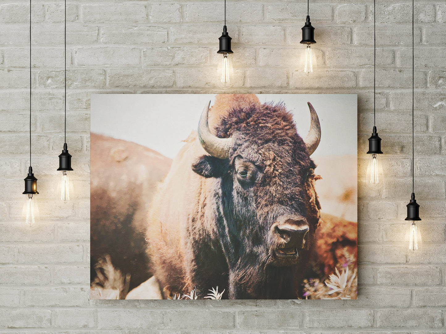 Canvas: Bison Close-Up